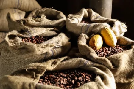 coffeebeans