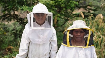 Food4Farmers-Beekeeping