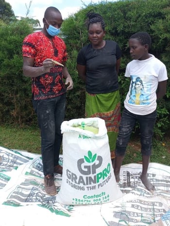 grainpro bag kenya story