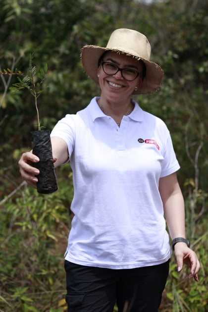 Fibtex - Tree Planting