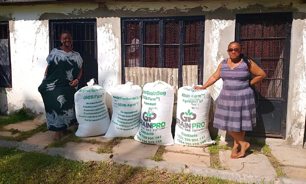 A Story of Legacy Loss and Rediscovery