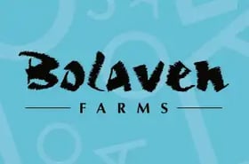 BOLAVEN FARM LTD