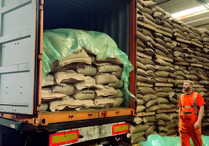 Cacao-Testi-01-1