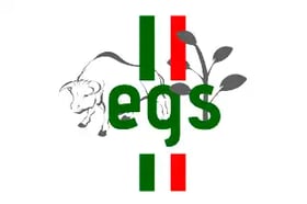 Empresa de Gasa S.A. (EGS S.A)