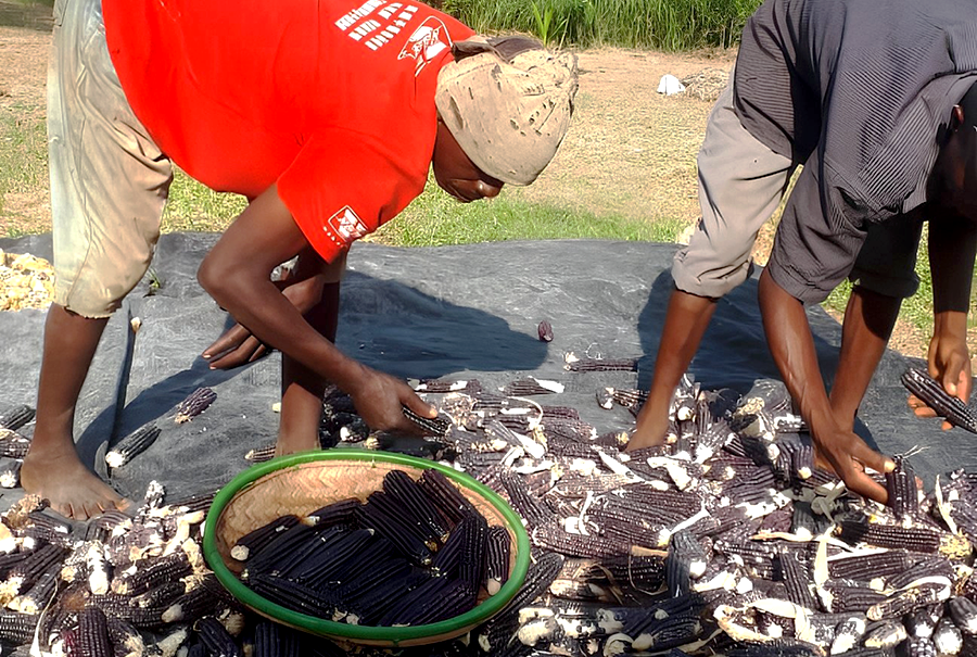 Image 2_Enhanced_v1-1