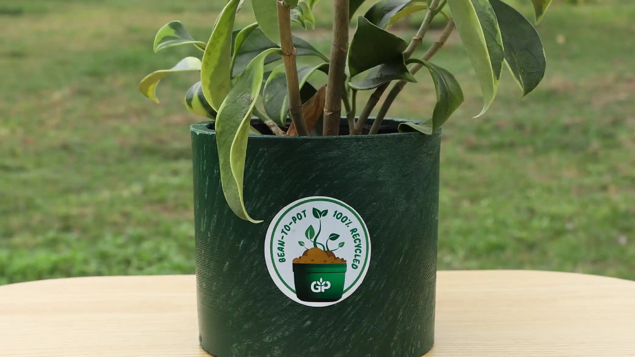 Sustainable Practices