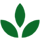 gp-leaf (2)-png