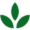 gp-leaf (2)-png