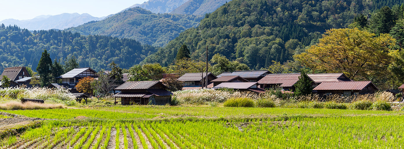shirakawago-village-and-rice-field-2025-03-27-02-23-57-utc-2