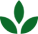 gp-leaf-38