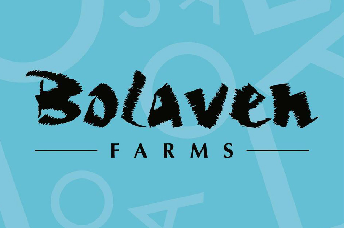 Bolaven Farms