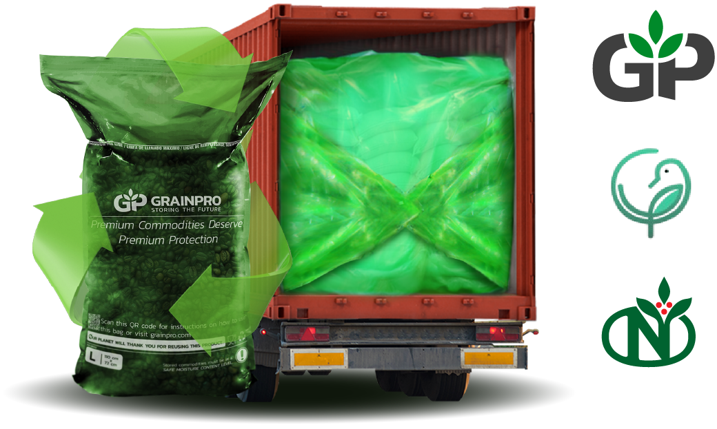 Responsible Consumption and Production