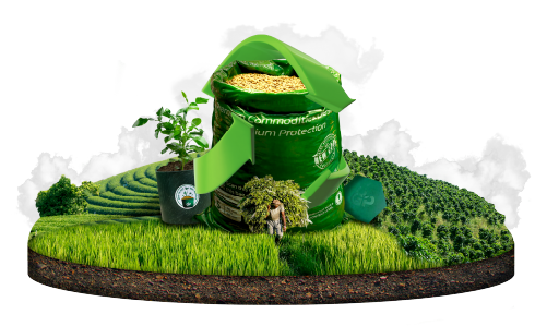 Responsible Consumption and Production